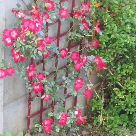 Bed & Breakfast Margotine D'hotes