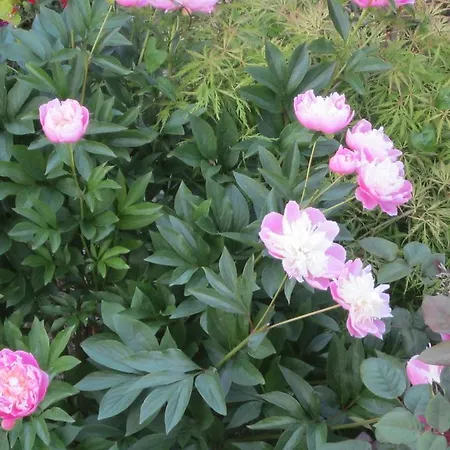 Bed & Breakfast Margotine D'hotes Bellerive-sur-Allier